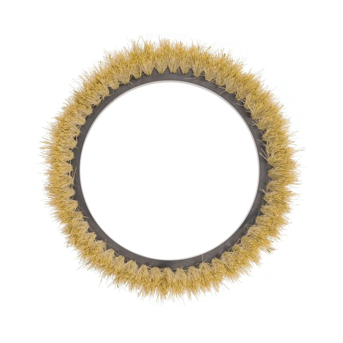 i-scrub 30 Disc Brush 7