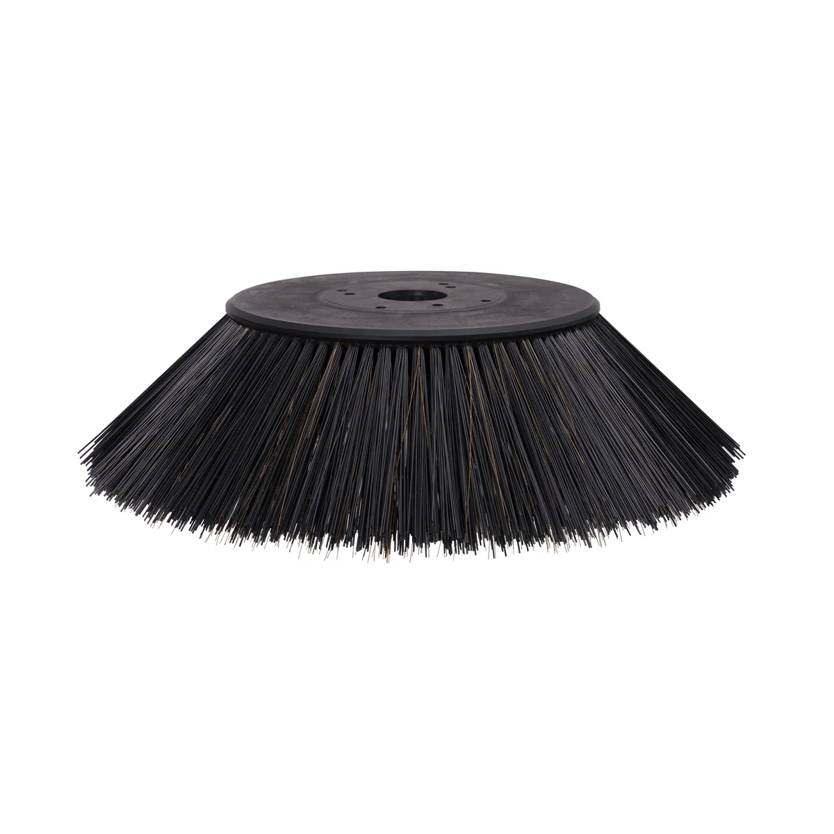 S 48 Side Brush 2